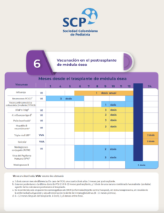 Vacunas en el postrasplante de médula ósea 